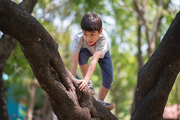 El movimiento como base del desarrollo: recomendaciones por etapa en la infancia